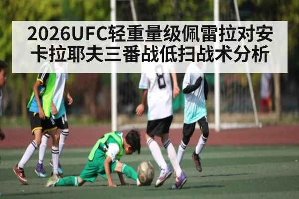 2026UFC轻重量级佩雷拉对安卡拉耶夫三番战低扫战术分析